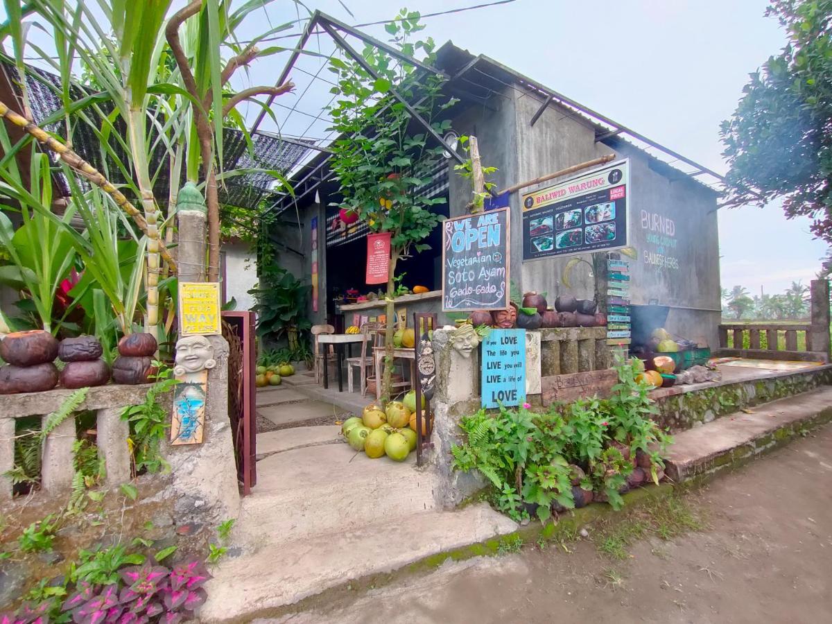 D'Nanda Villa Ubud  Exterior photo