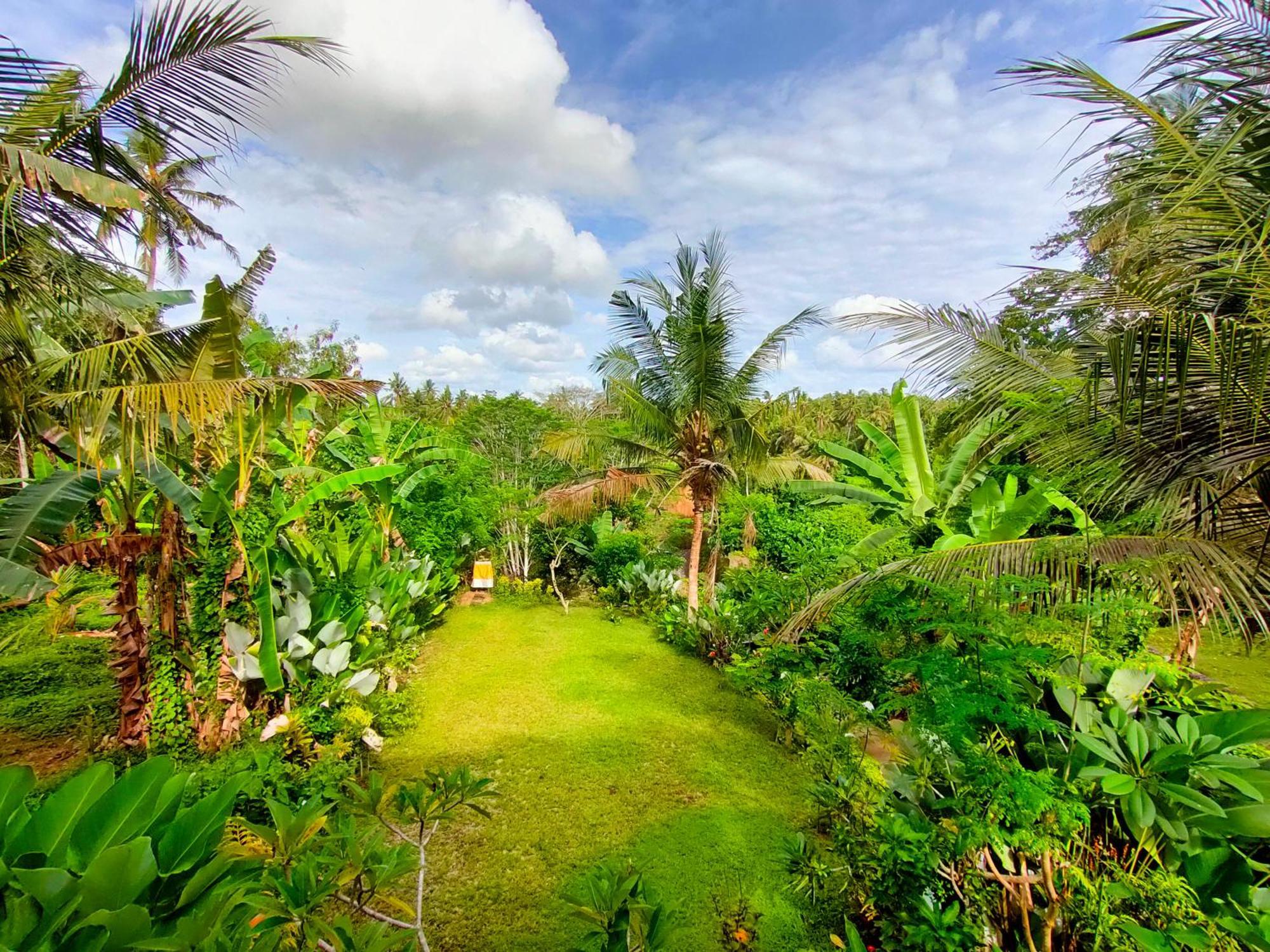 D'Nanda Villa Ubud  Exterior photo